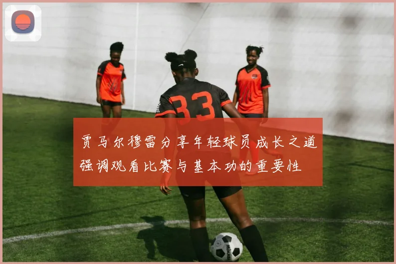 贾马尔穆雷分享年轻球员成长之道强调观看比赛与基本功的重要性